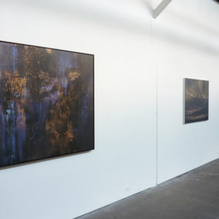 new paintings_installation with Sherwood II_anita hochman