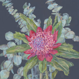 Waratah with Gum Leaves 2020