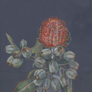 Red Banksia with Gum Nuts 2020