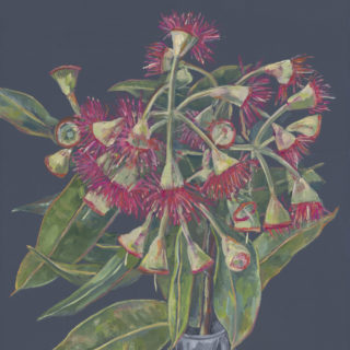 Flowering Gum II 2021