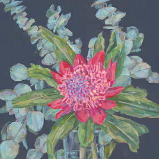 Waratah with Gum Leaves 2022